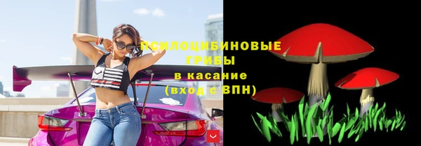 соль ск Няндома